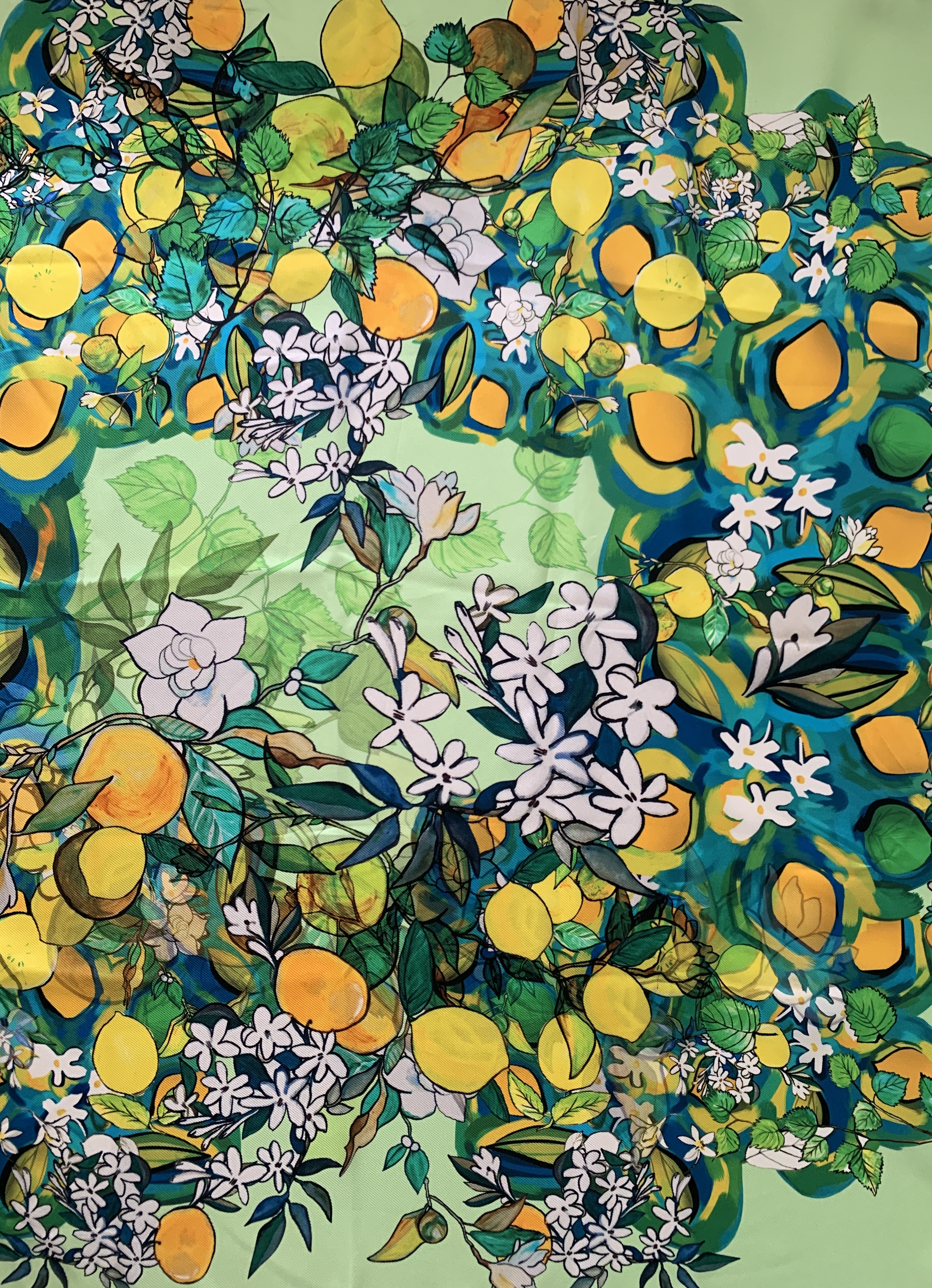 Printed Silk Chiffon Shawl - Green